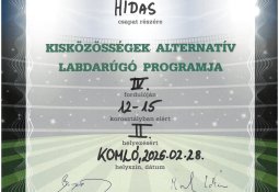 foci_1_fb_img_1774523751890