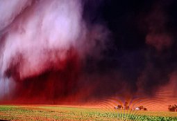 7e25ba44-93ad-470f-ae51-de13fe2cf3eb