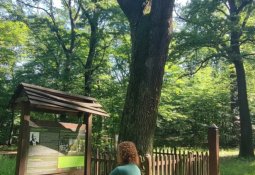 img_20260616_092156