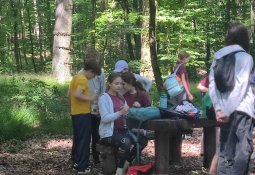 img_20260616_102039