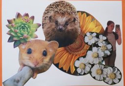 luca-montazs