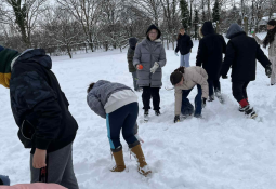 5b031fd9-f6b7-479c-a422-7c01ccfe8bda