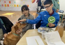 5c94d4cf-08b2-4383-a5bb-14ce9b8e5323