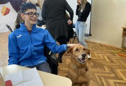 b473c331-ae8a-43fe-8afa-9b731b5e288d