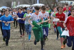 utf-8486148637_10163067835903676_6612823415305621119_n