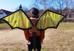 levai_katinka_7osztaly_zv2