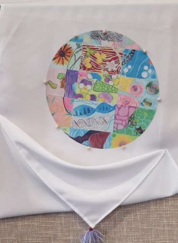 luca-textil