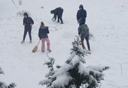 messenger_creation_c7a58f85-90f8-4436-ad35-27c167076f41